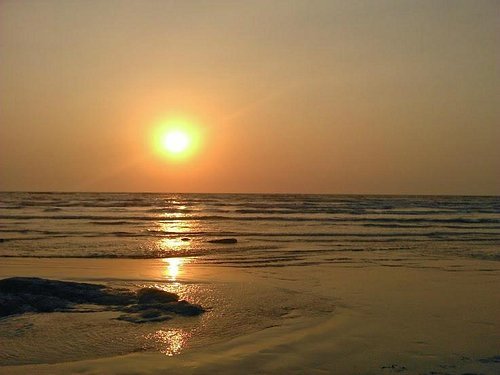 Pune To Alibaug Trip With Force Urbania